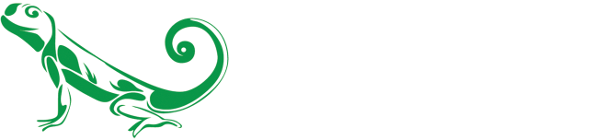 SoundLizzard Productions Logo